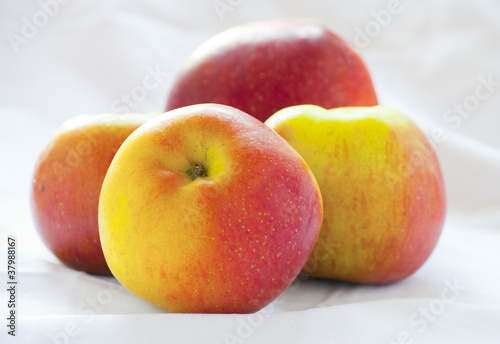 bunch of fresh healthy and delicious organic apples