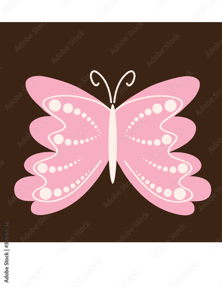 Butterfly Butterfly