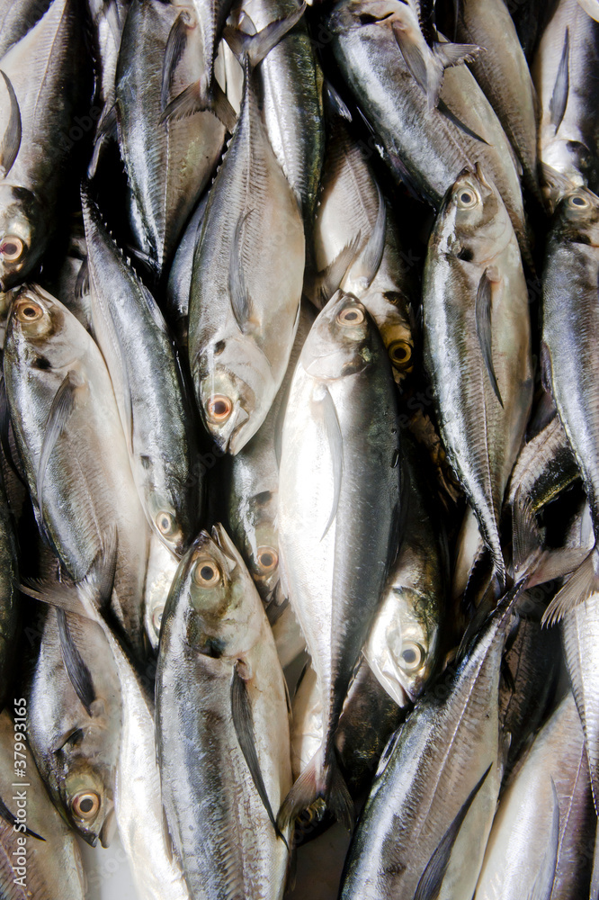 Obraz premium Fishes in the Market