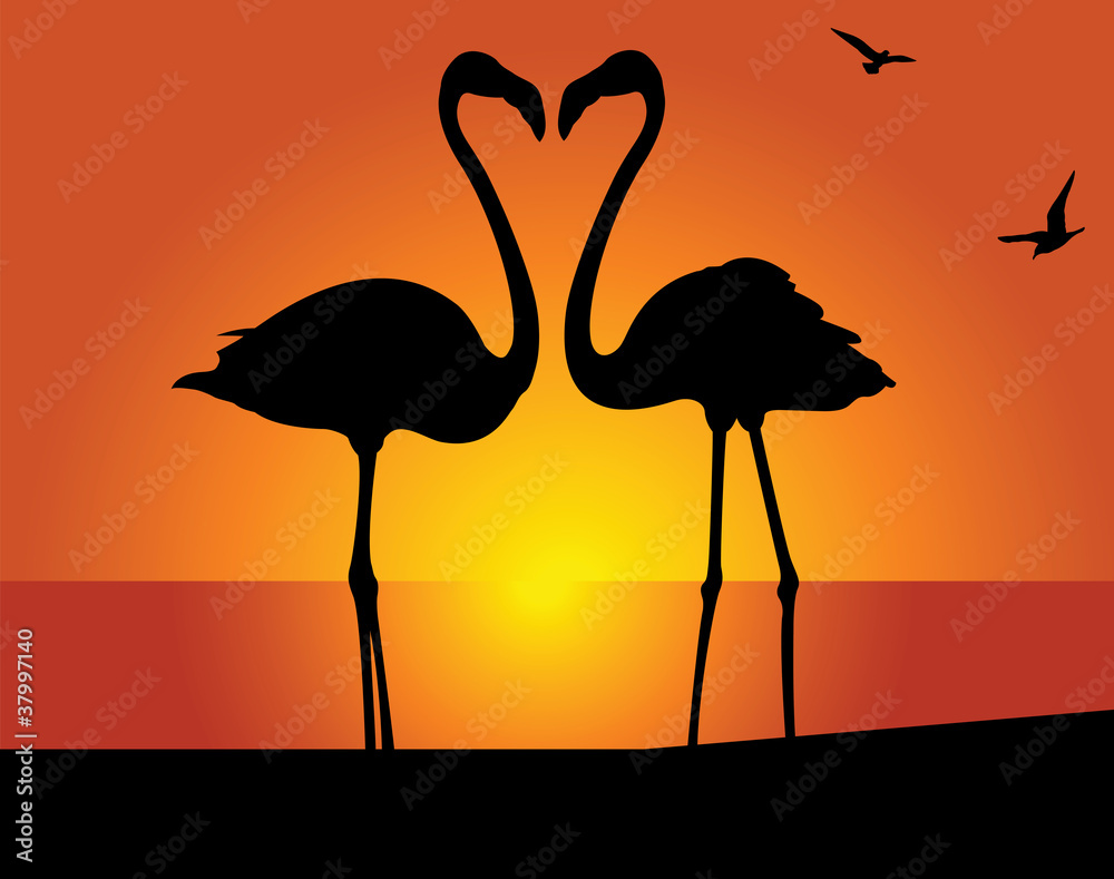 Naklejka premium Flamingo. Kiss