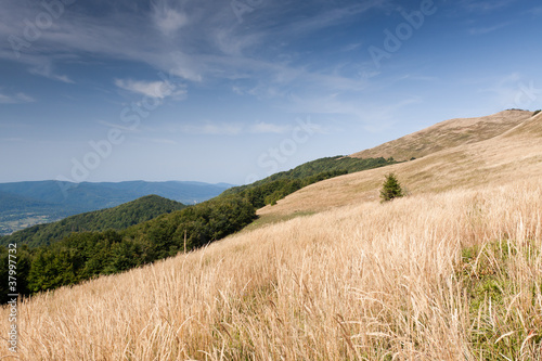 Bieszczady mountains in south east Poland