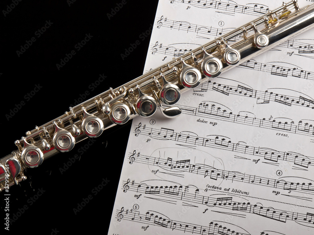 Obraz premium flute