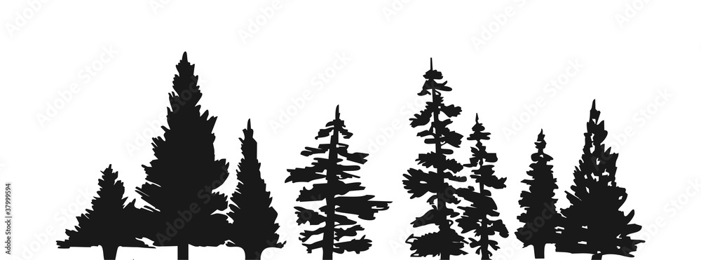 Obraz premium Drzewa