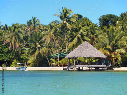 Thatched hut on tropical beach with houses hidden by coconut trees in background, Central America, Panama