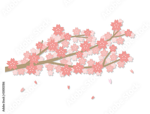 桜 枝