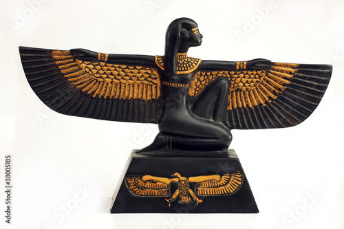 Isis alada photo