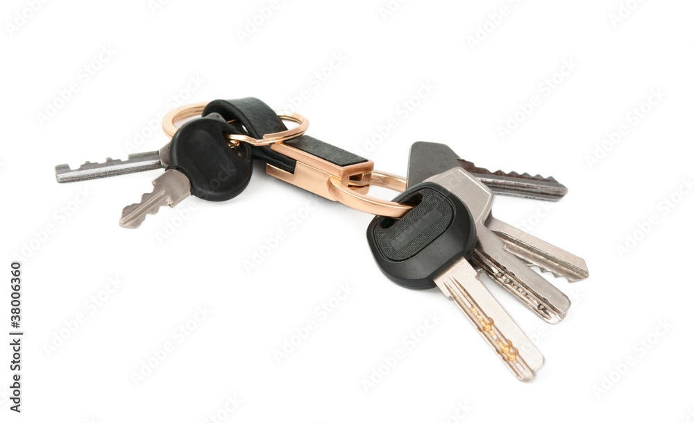 keychain with keys isolated keychain with keys isolated