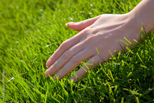 Hand with grass © chaossart