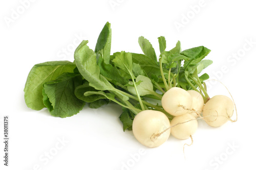 Fresh white radishes