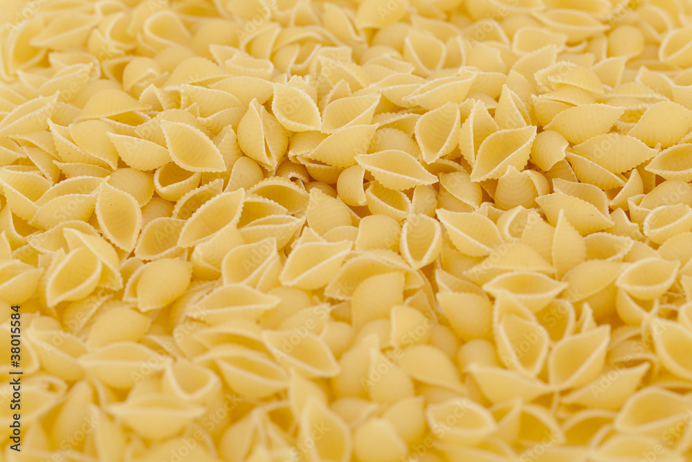 pasta - conchiglioni pasta - conchiglioni