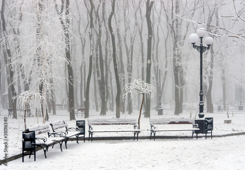 Winter at the park