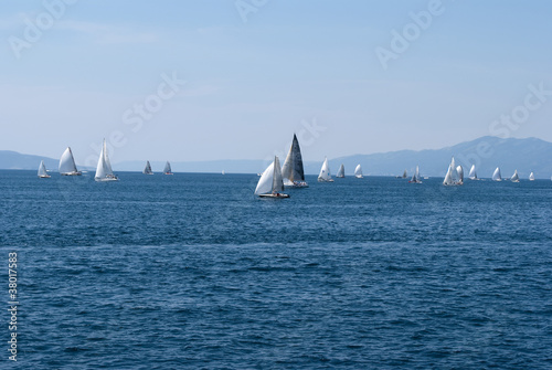 regatta