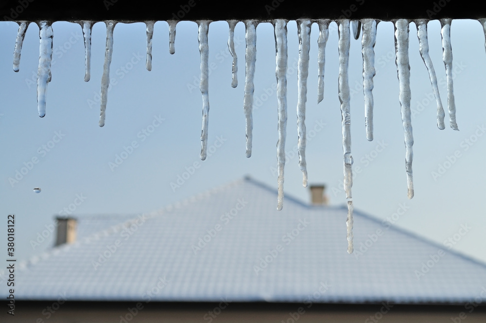 Obraz premium icicles