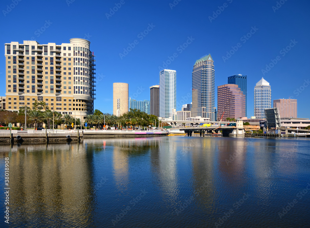 Tampa Bay Skyline