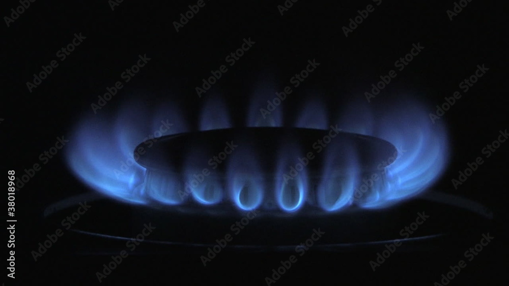 Oven Burner