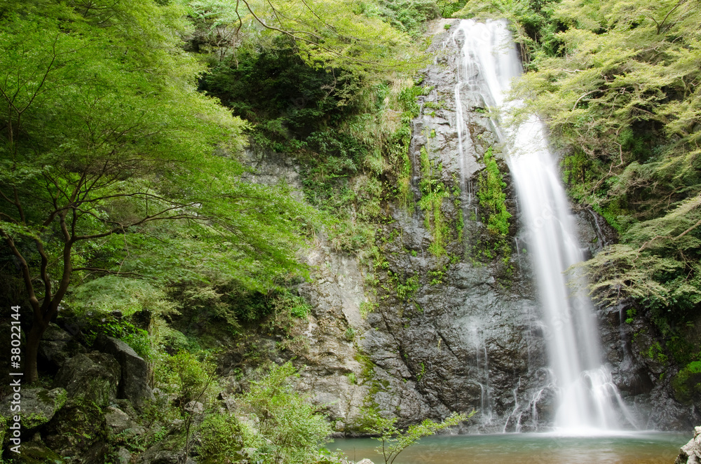 Water fall at the Mino Quasi National Park in Japan