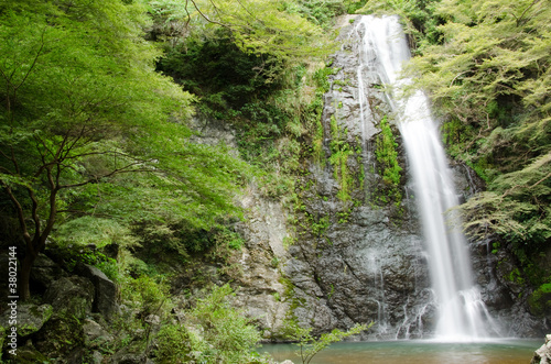 Fototapeta Naklejka Na Ścianę i Meble -  Water fall at the Mino Quasi National Park in Japan