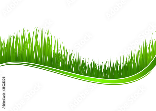 Fresh grass background