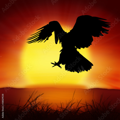 silhouette of eagle with big sun background