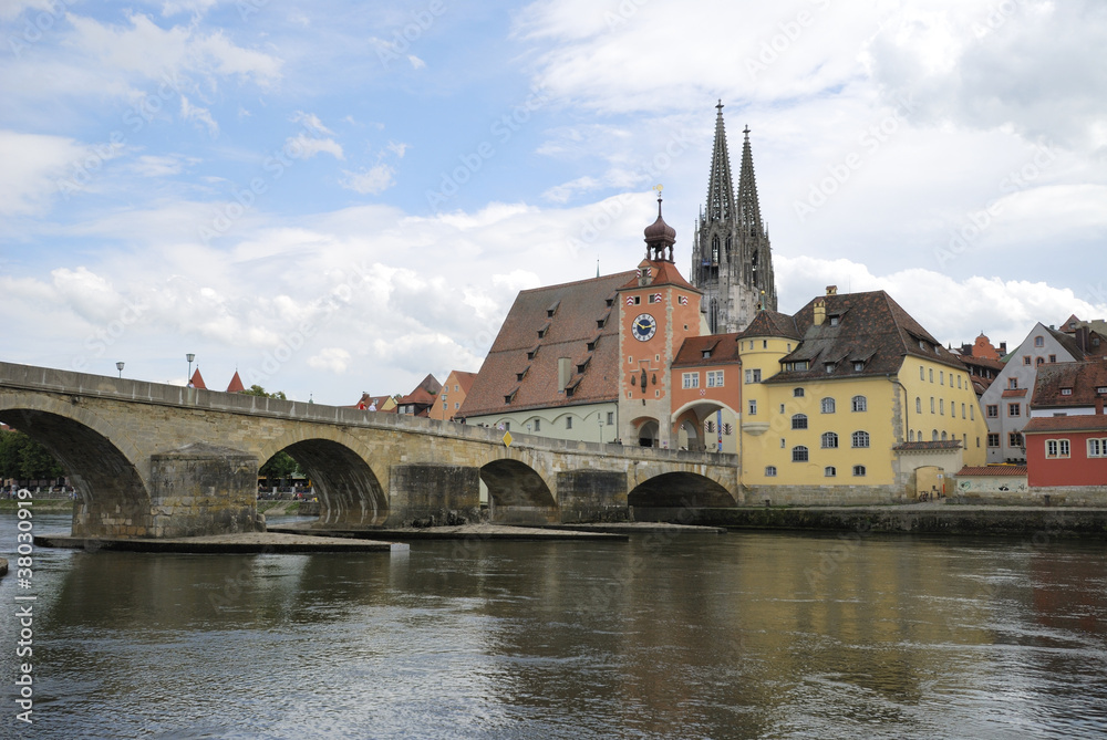Fototapeta premium Danube in Regensburg