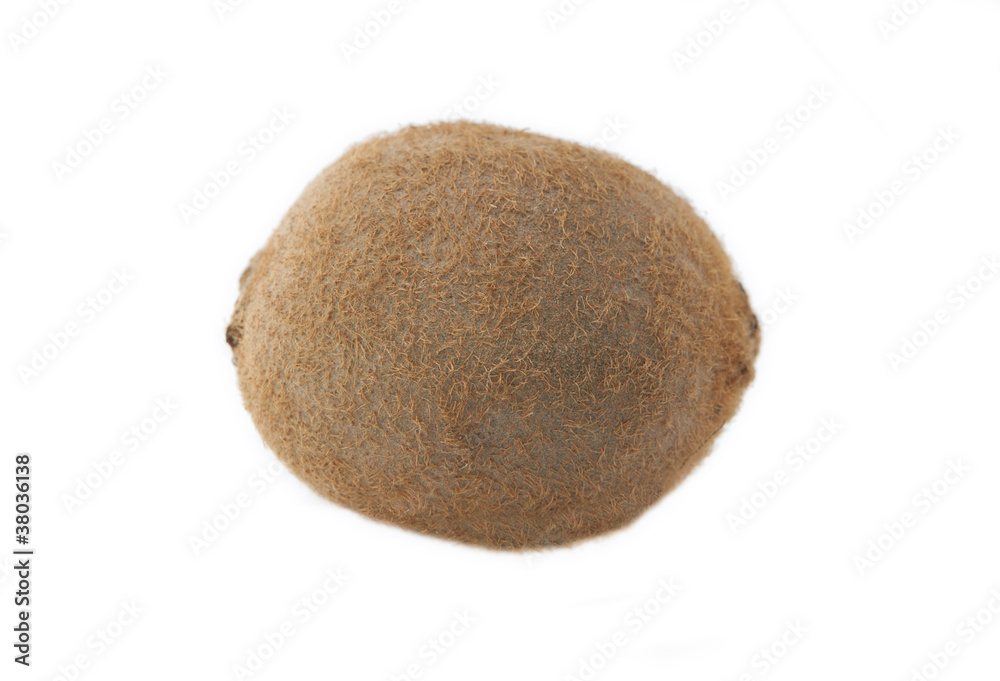 Kiwi fruit isolated