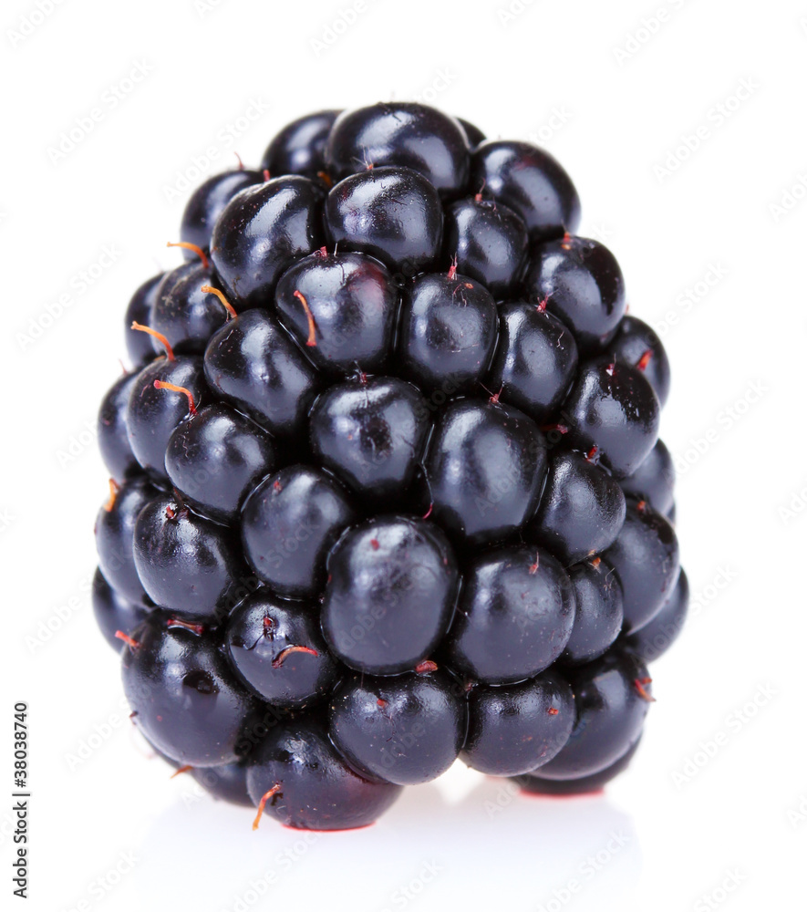 beautiful blackberries isolated on white