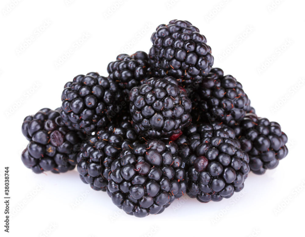 beautiful blackberries isolated on white beautiful blackberries isolated on white