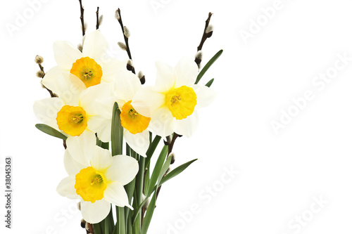 Photo narcissus bouquet isolated on white background