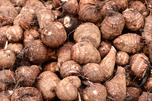 fresh taro root(