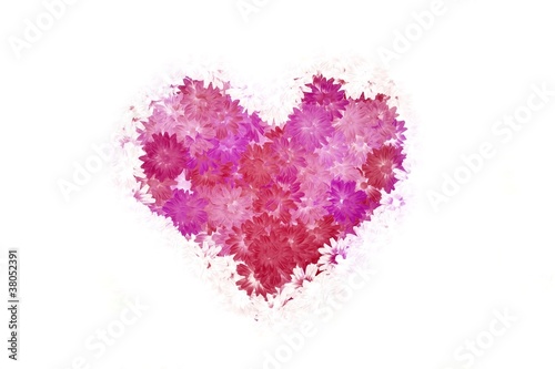 Heart made with flowers_White background