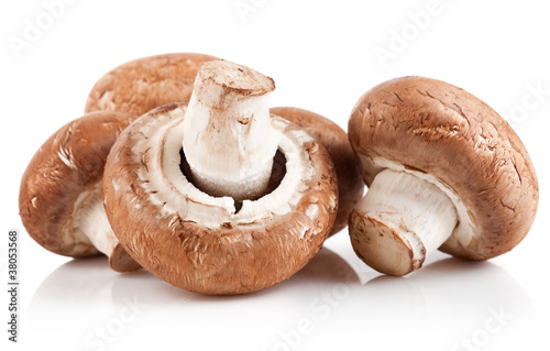 fresh mushroom champignon  isolated on white background