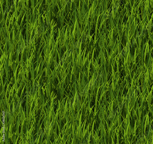 Tiling texture – Grass