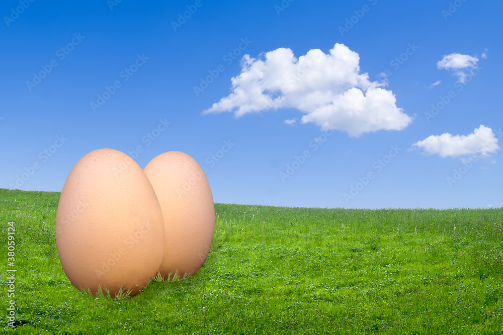 Two free-range egg on green grass against a blue sky Two free-range egg on green grass against a blue sky