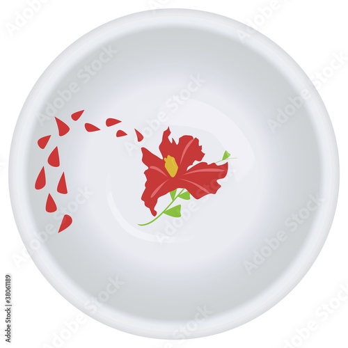 soup plate