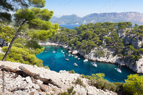 Calanques of Port Pin in Cassis photo