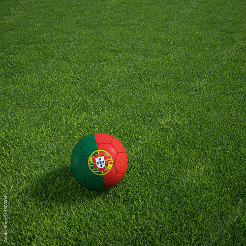 Portuguese soccerball lying on a grass field