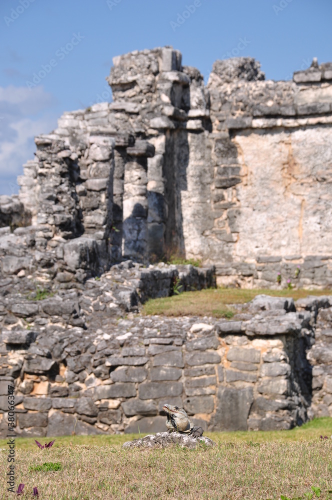le rovine maya di tulum