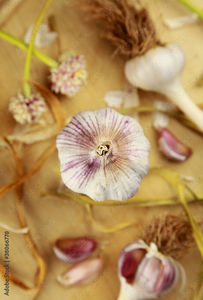 garlic arrangement