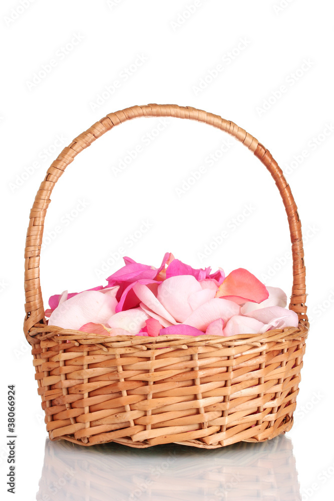 beautiful pink rose petals in basket isolated on white