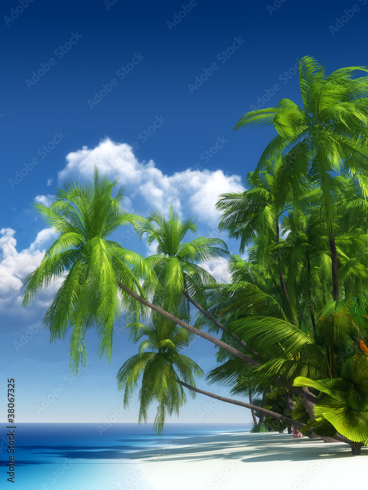 Tropical beach paradise - obrazy, fototapety, plakaty 
