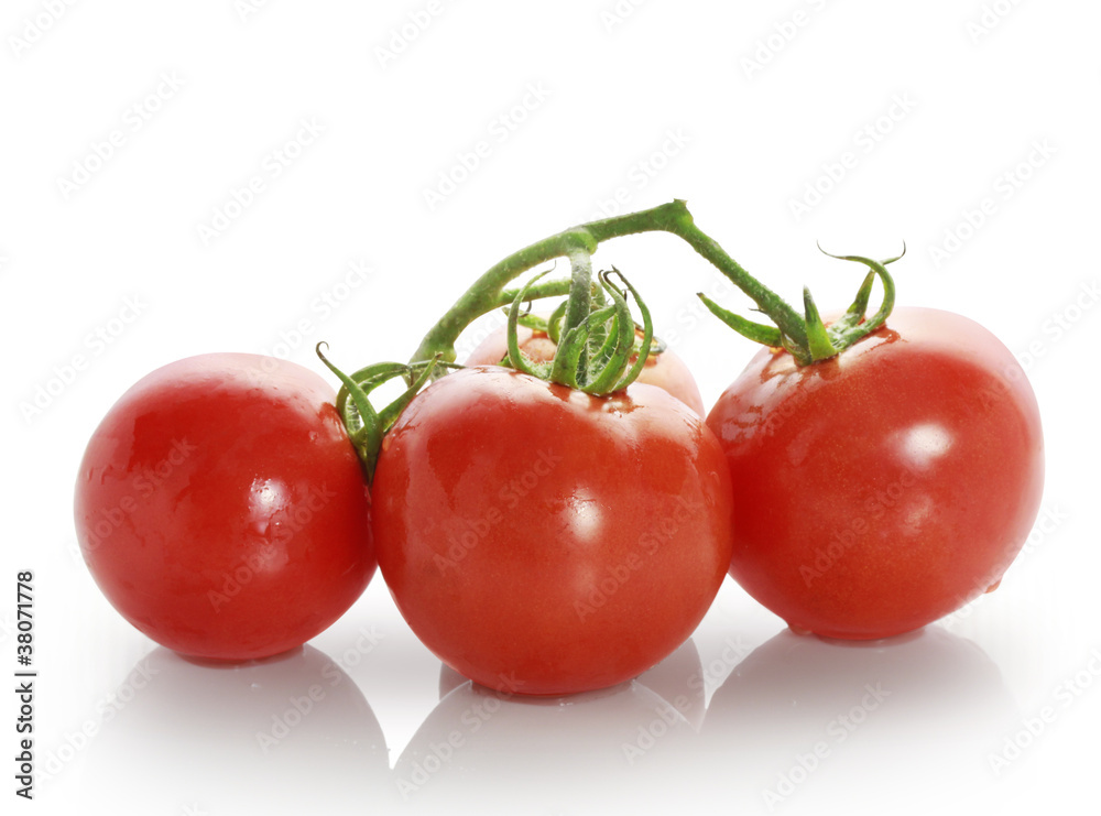 tomatos on white background tomatos on white background