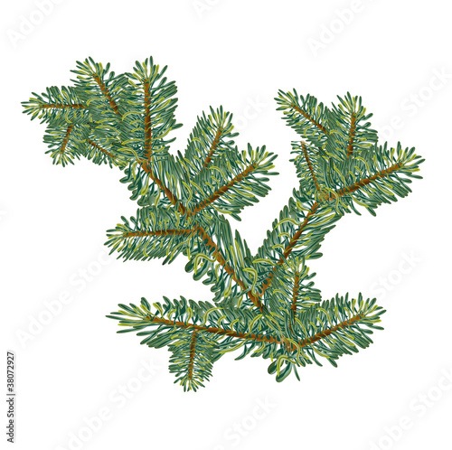 Christmas concept branch fir tree mesh