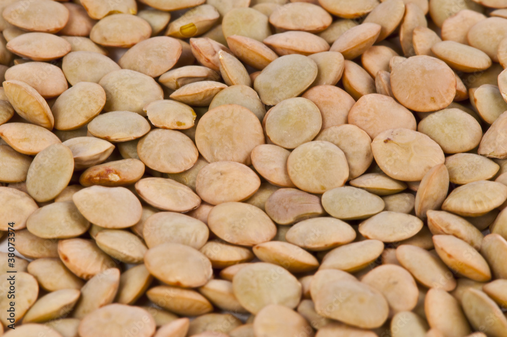 Lentils macro shot Lentils macro shot
