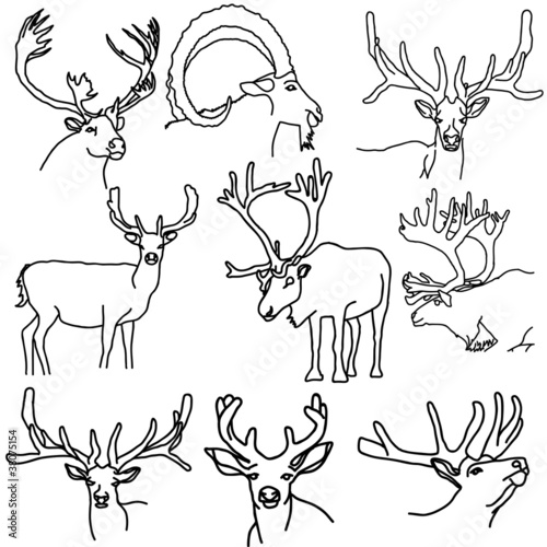 A set of deer, elk, and goats