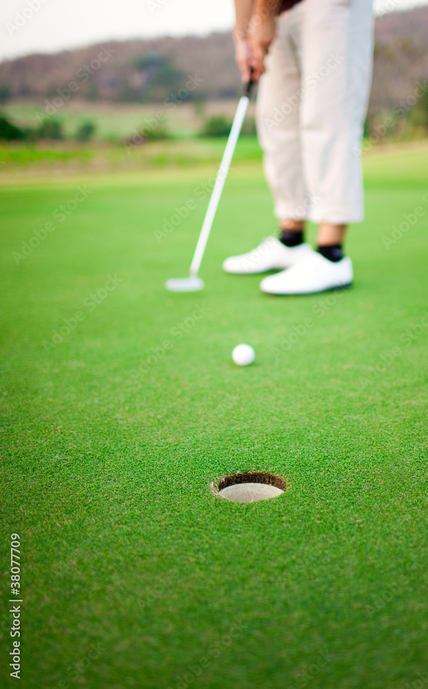 Obraz premium On the green