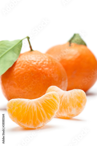 segments of tangerine, on white background