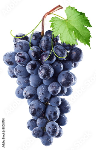 Grapes Fototapet