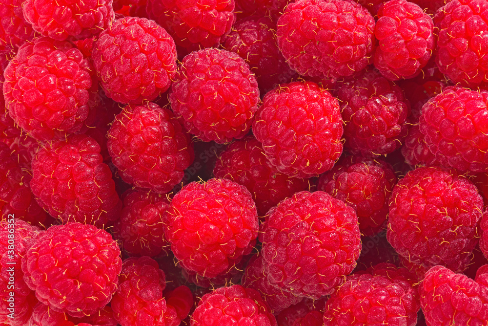 Raspberries Raspberries