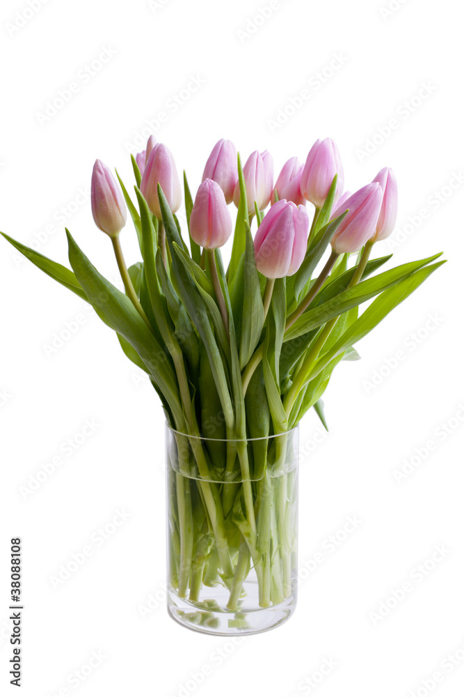 Rosa Tulpenstrauß in einer Glasvase Rosa Tulpenstrauß in einer Glasvase