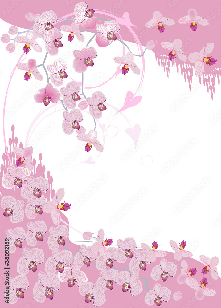 design with lot of pink orchids